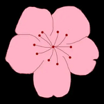 5g影院APP应用